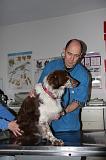 AUSCULTATION 070